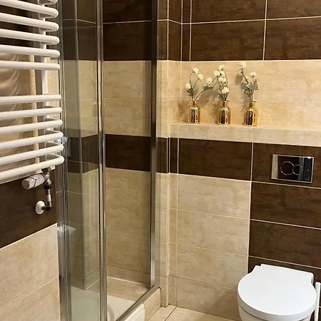 Neptun 招待所 莱格尼察